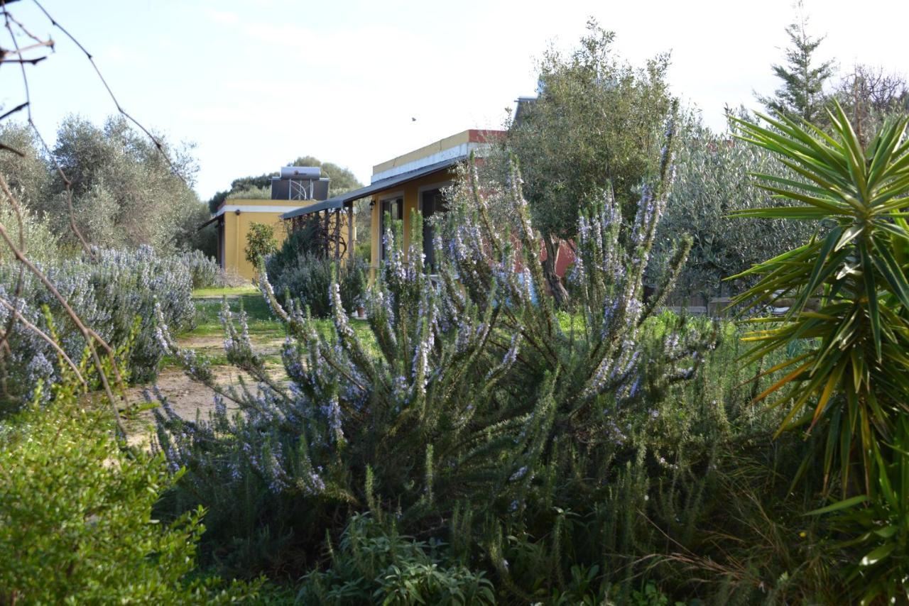 B&B Casa Per Ferie Villaggiocarovana Castiadas Bagian luar foto