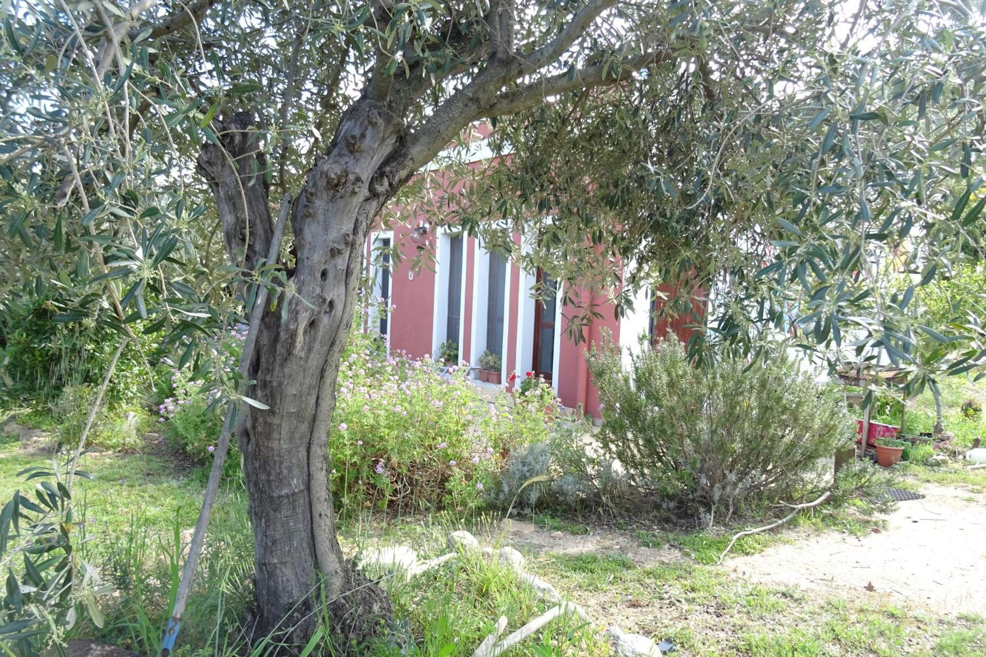 B&B Casa Per Ferie Villaggiocarovana Castiadas Bagian luar foto