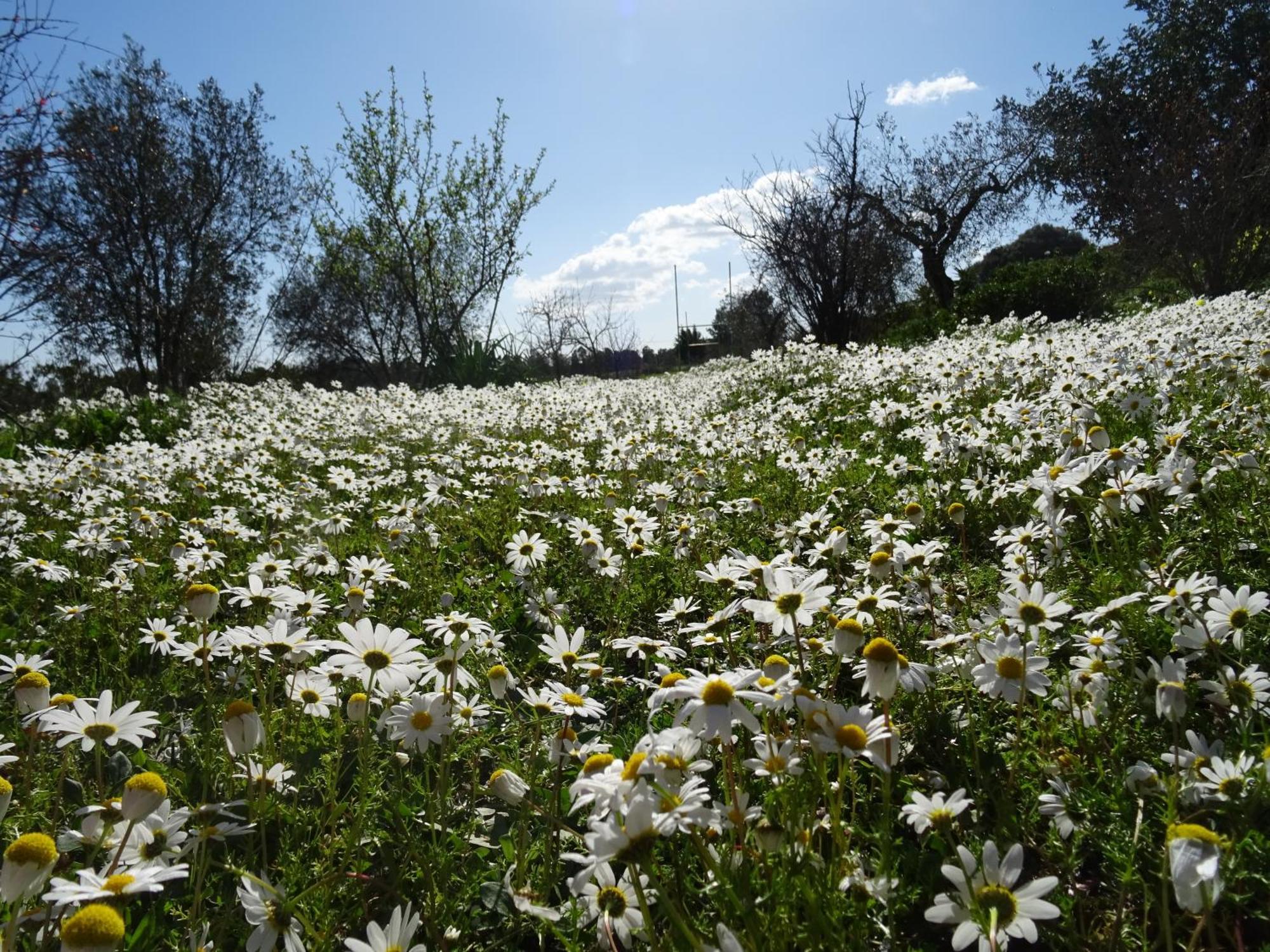 B&B Casa Per Ferie Villaggiocarovana Castiadas Bagian luar foto