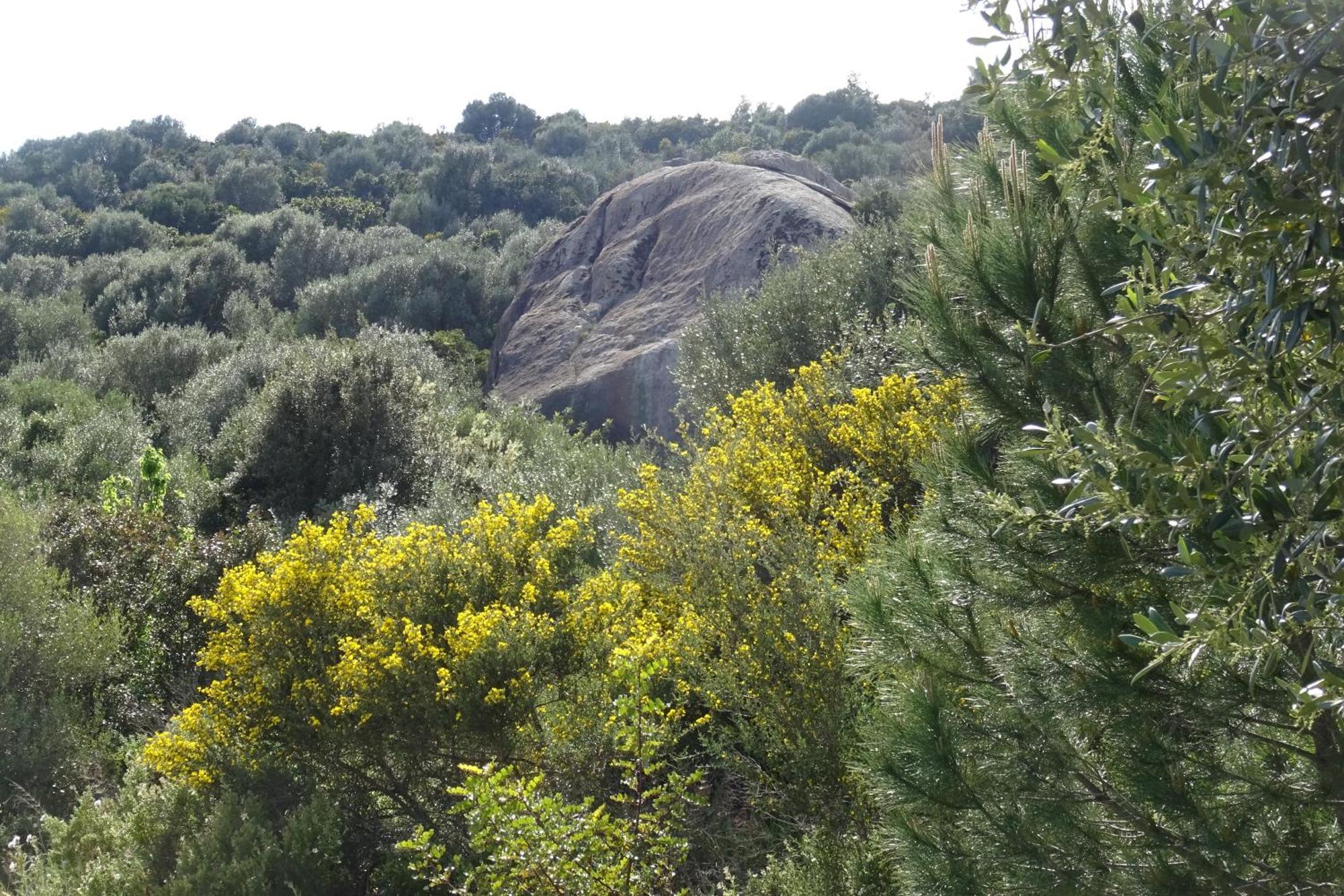 B&B Casa Per Ferie Villaggiocarovana Castiadas Bagian luar foto